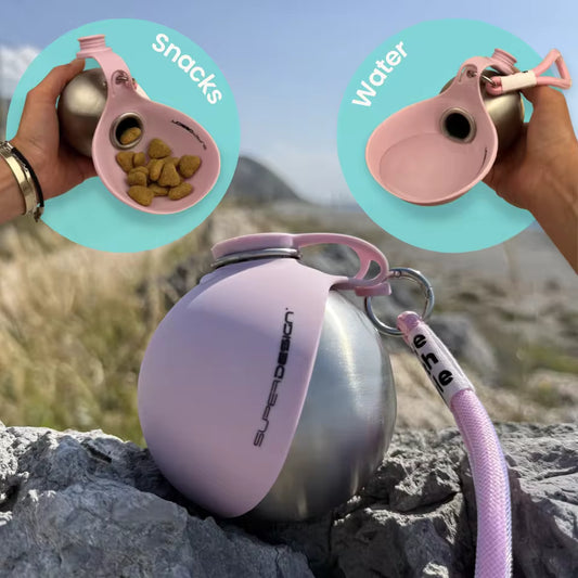 Portable dog water bottle