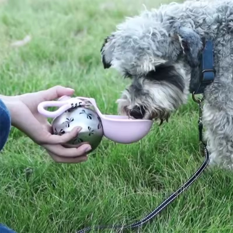 Portable dog water bottle